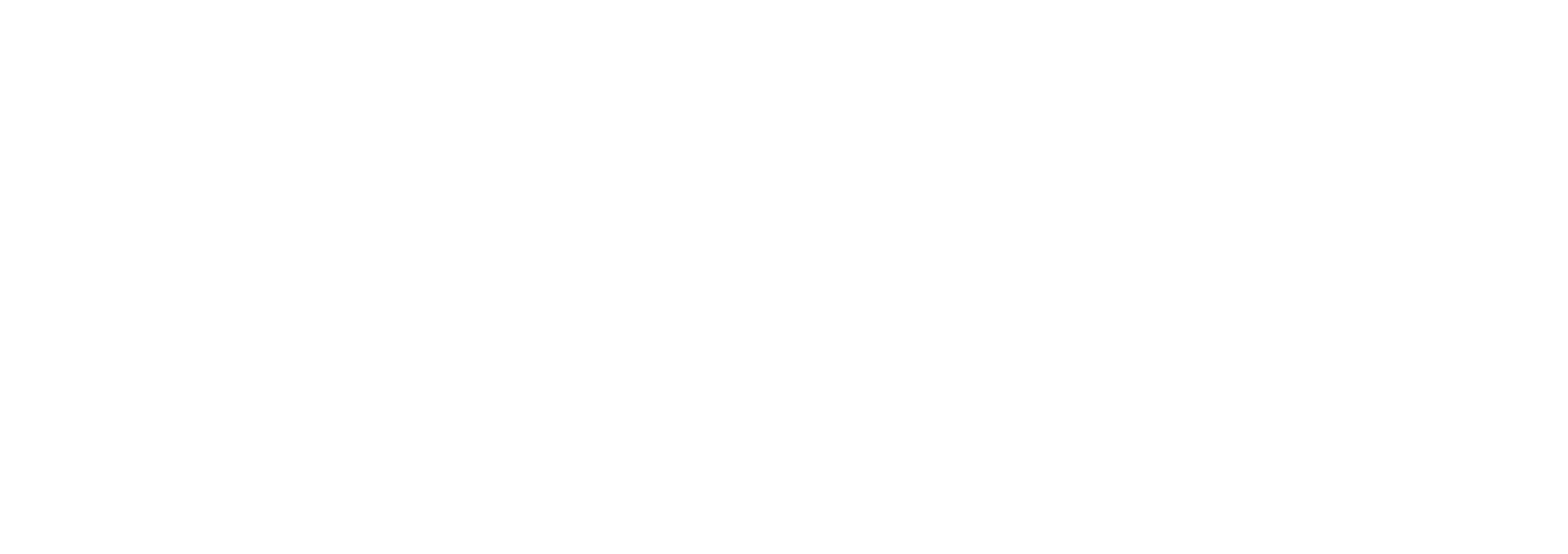 Logo Steeman